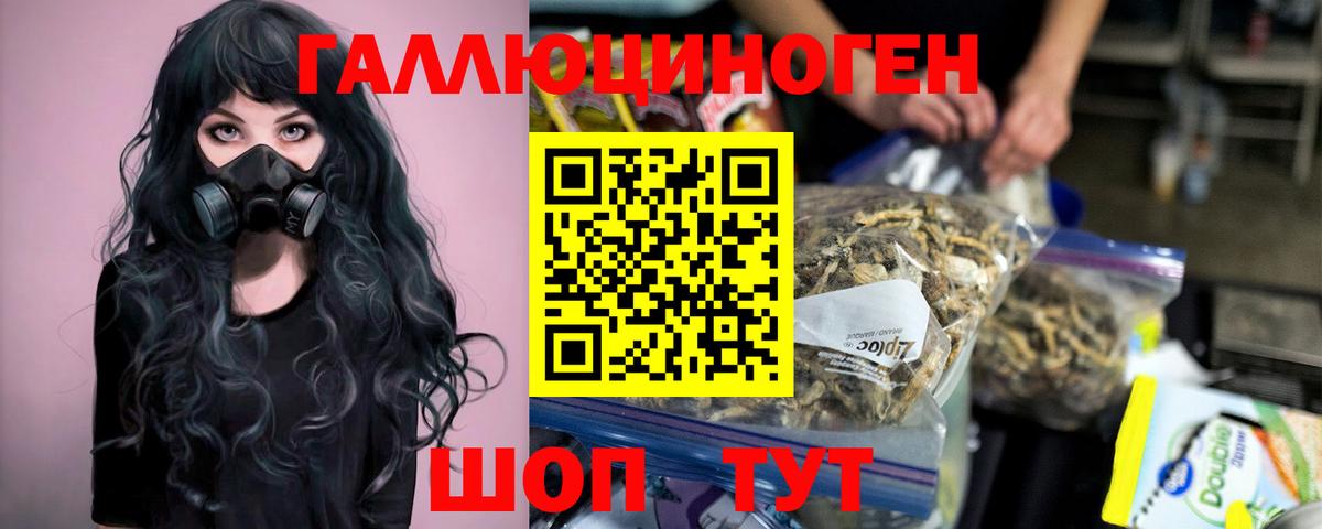 сколько стоит  Вход с VPN  Улан-Удэ  Псилоцибиновые грибы MAGIC MUSHROOMS 